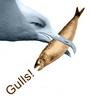 Gulls profile picture