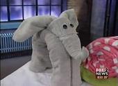 Jumbo the Towel Origami Elephant profile picture