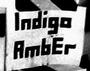 Indigo Amber profile picture