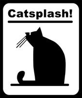 Catsplash profile picture