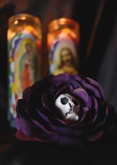 "Dia de los Muertos" profile picture