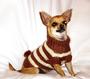 Nacho & Tiffanys Dog Clothing profile picture