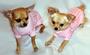 Nacho & Tiffanys Dog Clothing profile picture