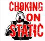 Choking On Static has a new vocalist! profile picture