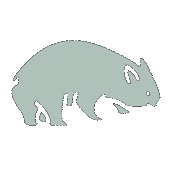 Wombatmusic profile picture