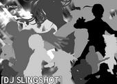 Dj SlingShot profile picture