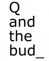 Q and the bud_ profile picture