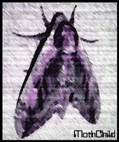 The MothChildâ„¢ profile picture