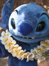 STITCH 626 is the real one back off u imposters!!! profile picture