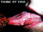 Tribe Of Cro profile picture