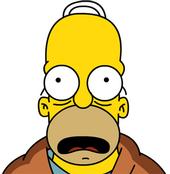 Homer profile picture