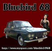 bluebird68 profile picture