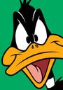 The Real Daffy Duck profile picture