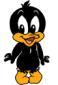 The Real Daffy Duck profile picture