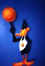 The Real Daffy Duck profile picture