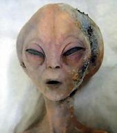 Roswell Alien profile picture