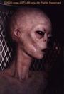 Roswell Alien profile picture