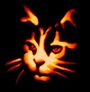 Hallowe'en profile picture