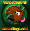 Chase Your Tail Recordings profile picture