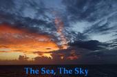 The Sea, The Sky profile picture