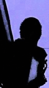 Snarrl profile picture