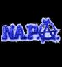 NAPA profile picture