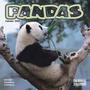 -PANDA- profile picture