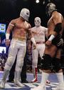 MISTICO profile picture