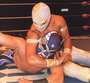 MISTICO profile picture