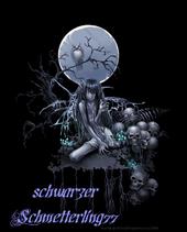 schwarzer Schmetterling 77 profile picture