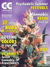 Cannabis Culture Magazine profile picture