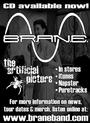 BRANE profile picture