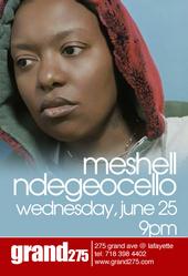 Meshell Ndegeocello profile picture