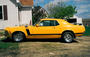 Mustang Sally profile picture