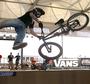 CHRIS MAHONEY BMX profile picture