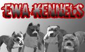 EWA KENNEL profile picture