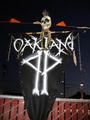 Oakland PyratePunx profile picture