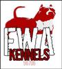 EWA KENNEL profile picture