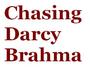 Chasing darcy brahma profile picture