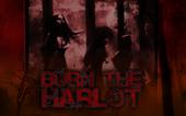 BURN THE HARLOT (New Layout,Needs Bassist) profile picture