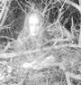 ARIZONA ORBS GHOST HUNTER SOCIETY profile picture