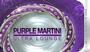 Purple Martini Ultra Lounge 21+ ONLY profile picture