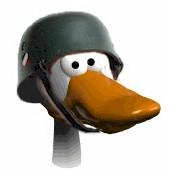 Duck Helmet profile picture