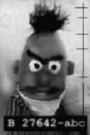 Bert profile picture