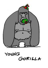 young gorilla profile picture