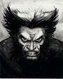 Wolverine profile picture