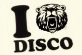 DiscoBears profile picture