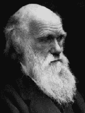 Charles Darwin profile picture