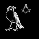 The Black Bird O.S.T. profile picture