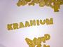 KRAANIUM - DEBUT ALBUM OUT NOW!!!!!!!! profile picture